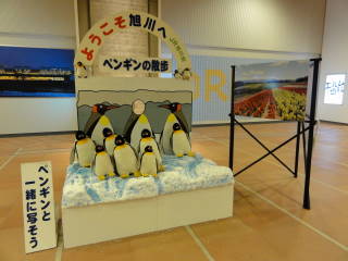 20120902_blog_20120801_Hokkaido_DSC03261_a.JPG